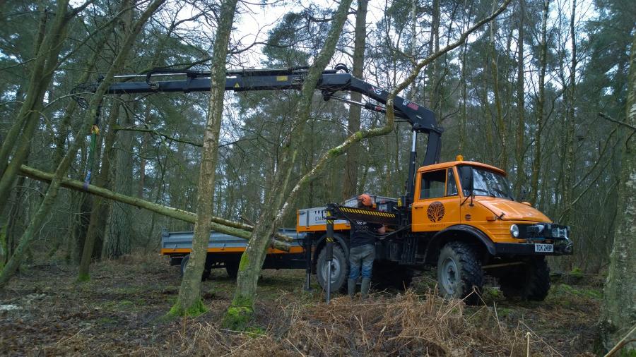 unimog-working-in-woodland.jpg