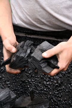 charcoal-hands.jpg charcoal-hands.jpg