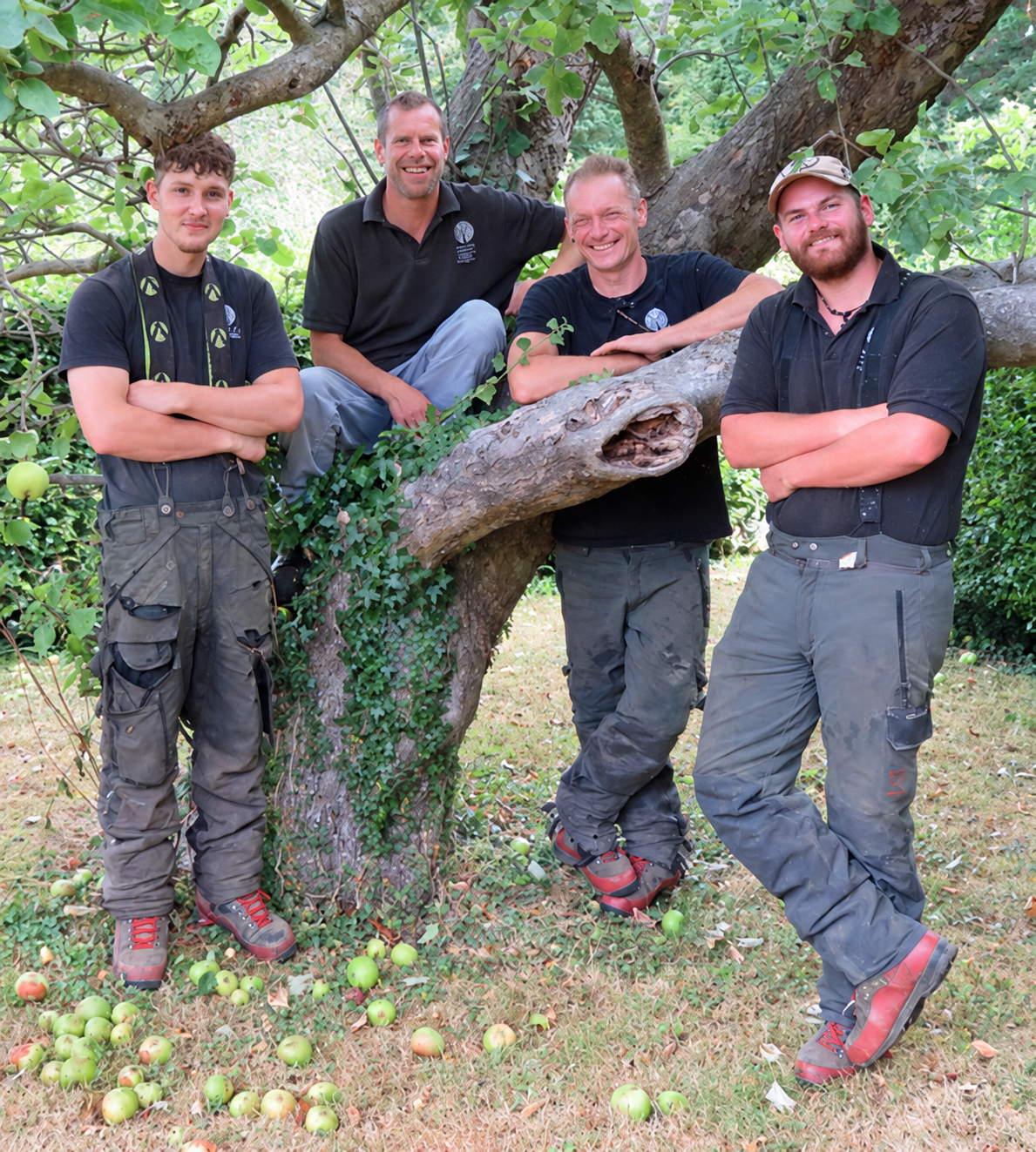 Four members of the Treelife tree surgery team beneath an apple tree