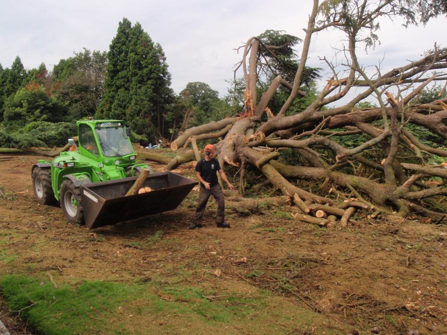 removing-timber.jpg