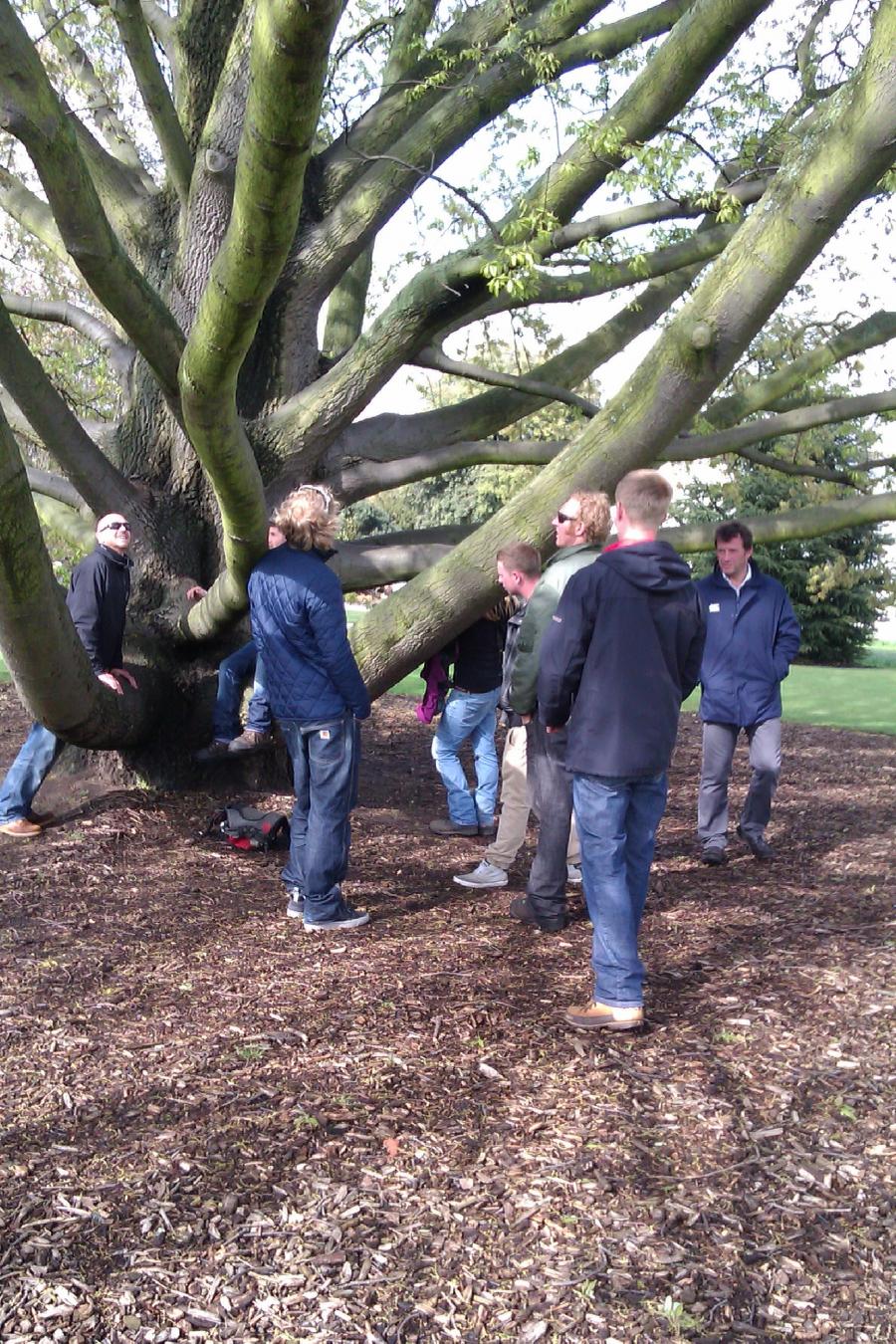 kew-gardens-visit-1.jpg