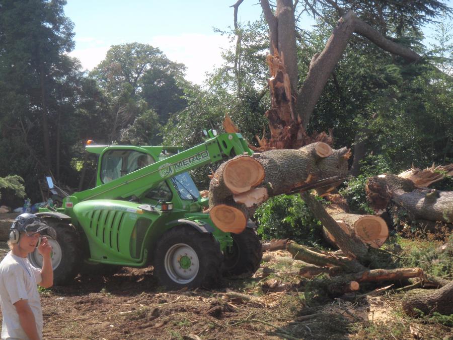 removing-timber-2.jpg