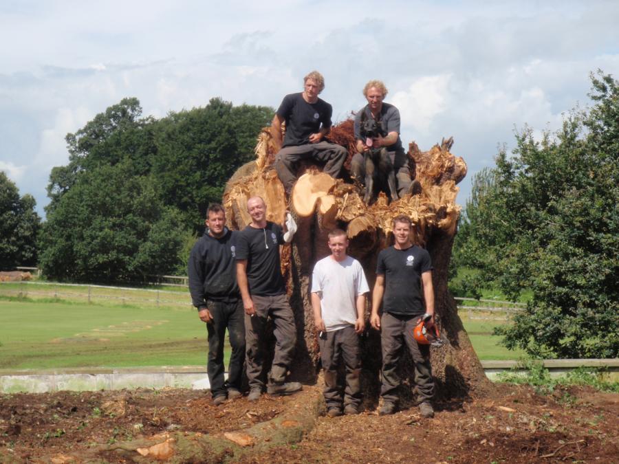 westbrook-hay-cedar-job-done.jpg