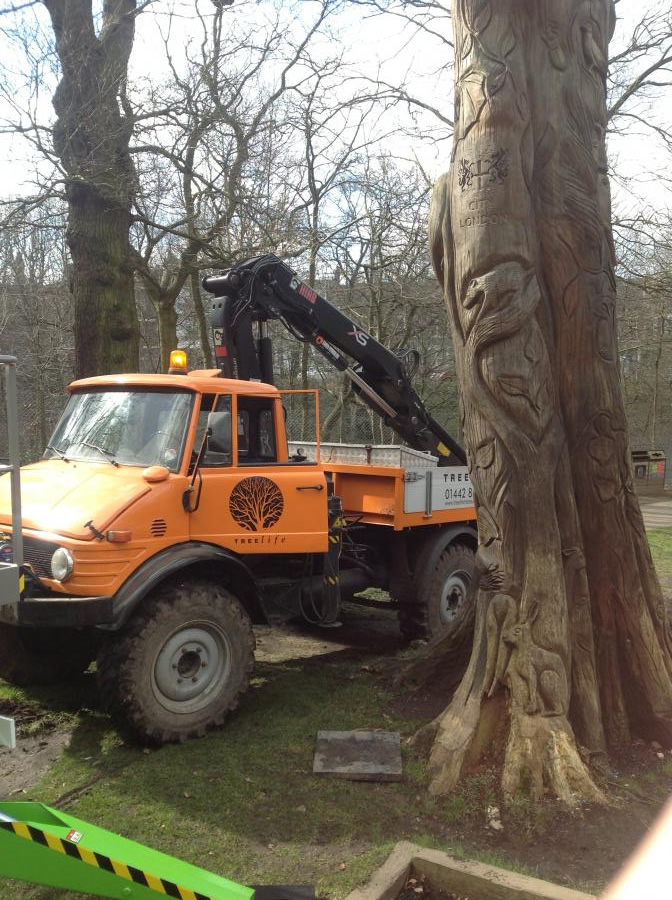 carved-tree-in-highate-woods.jpg