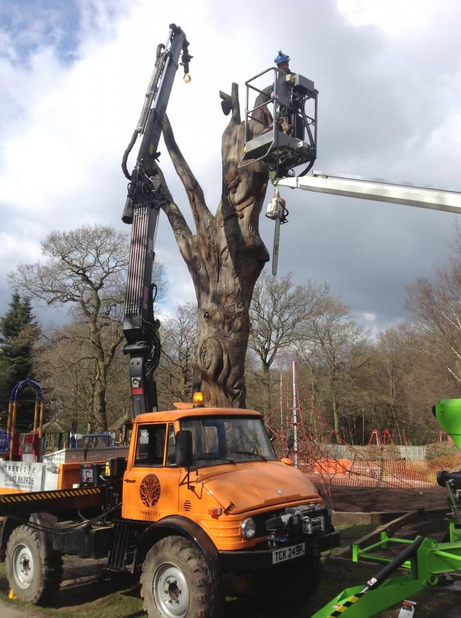 crane-in-action-highgate-woods.jpg