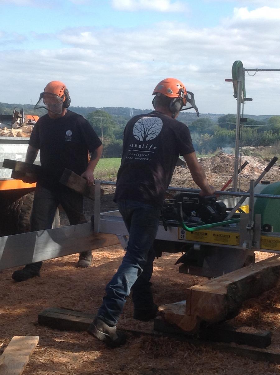the-sawmill-in-action.jpg