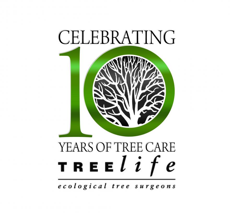 10-year-anniversary-logo.jpg