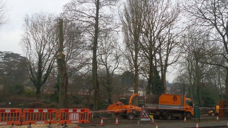 truck-and-chipper---water-gardens.jpg